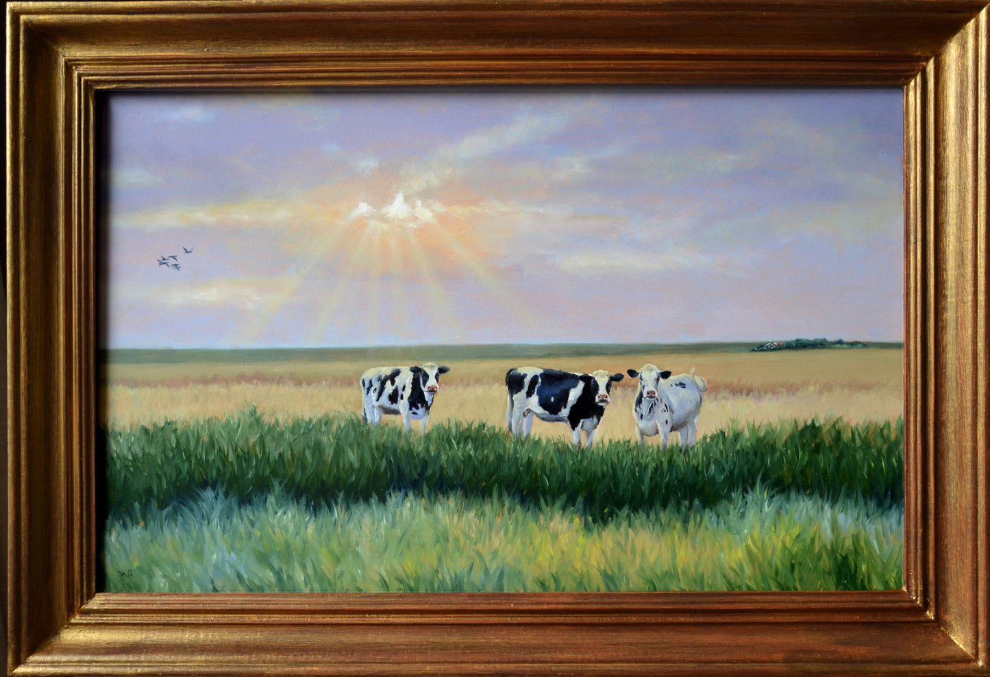 Schilderij Zwartbonte koeien - 15