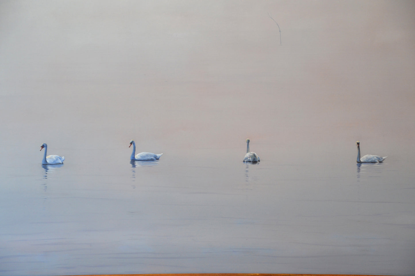 Schilderij Zwanen