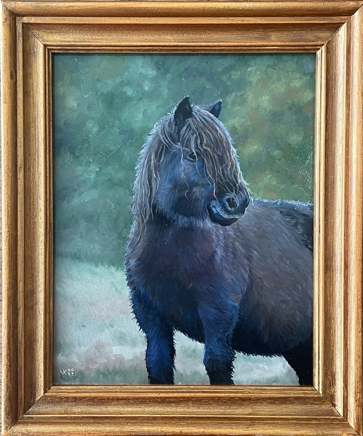 Schilderij Shetlander - 04