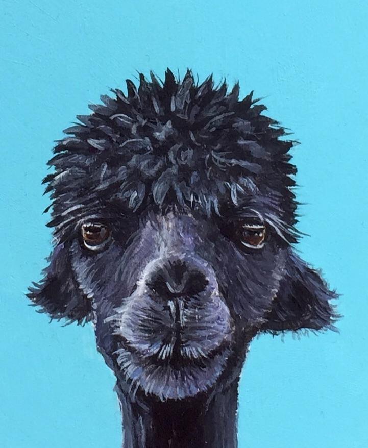 Schilderij Alpaca