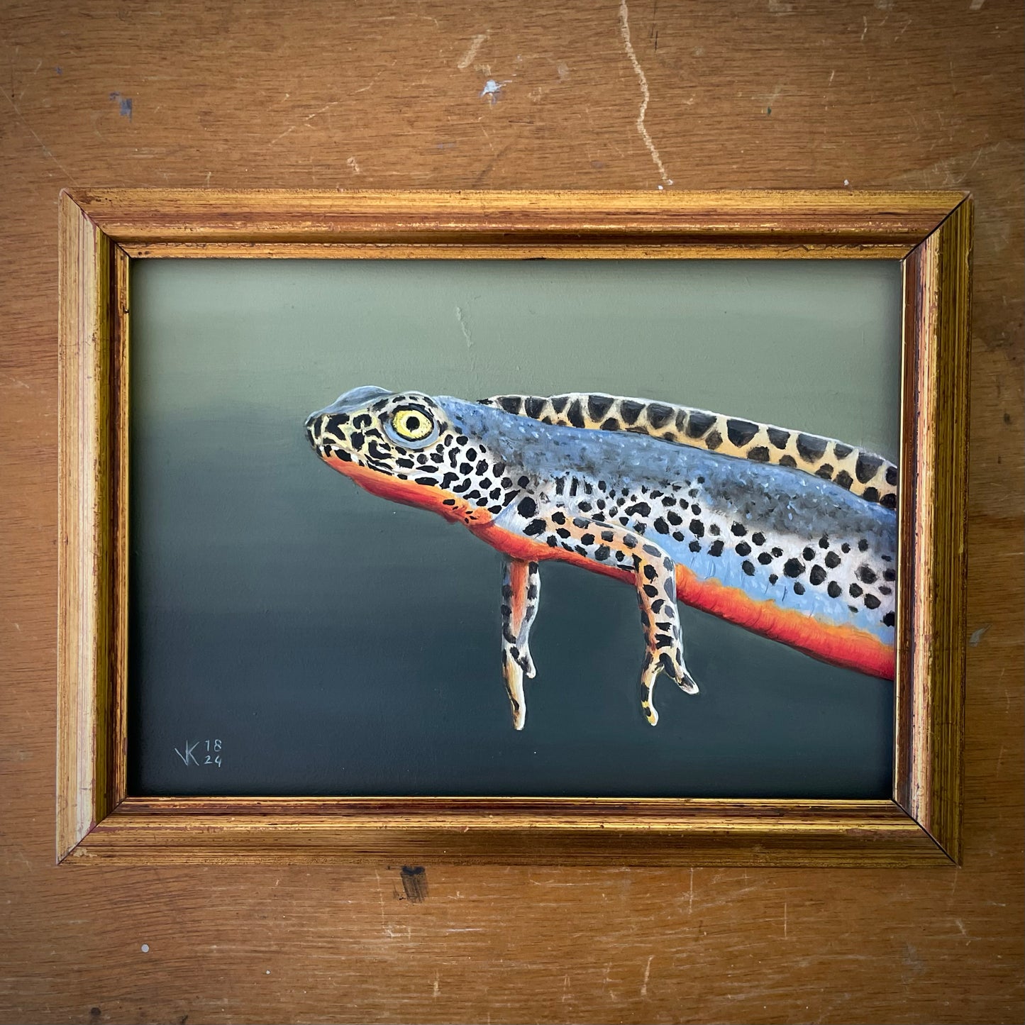 Schilderij Alpenwatersalamander