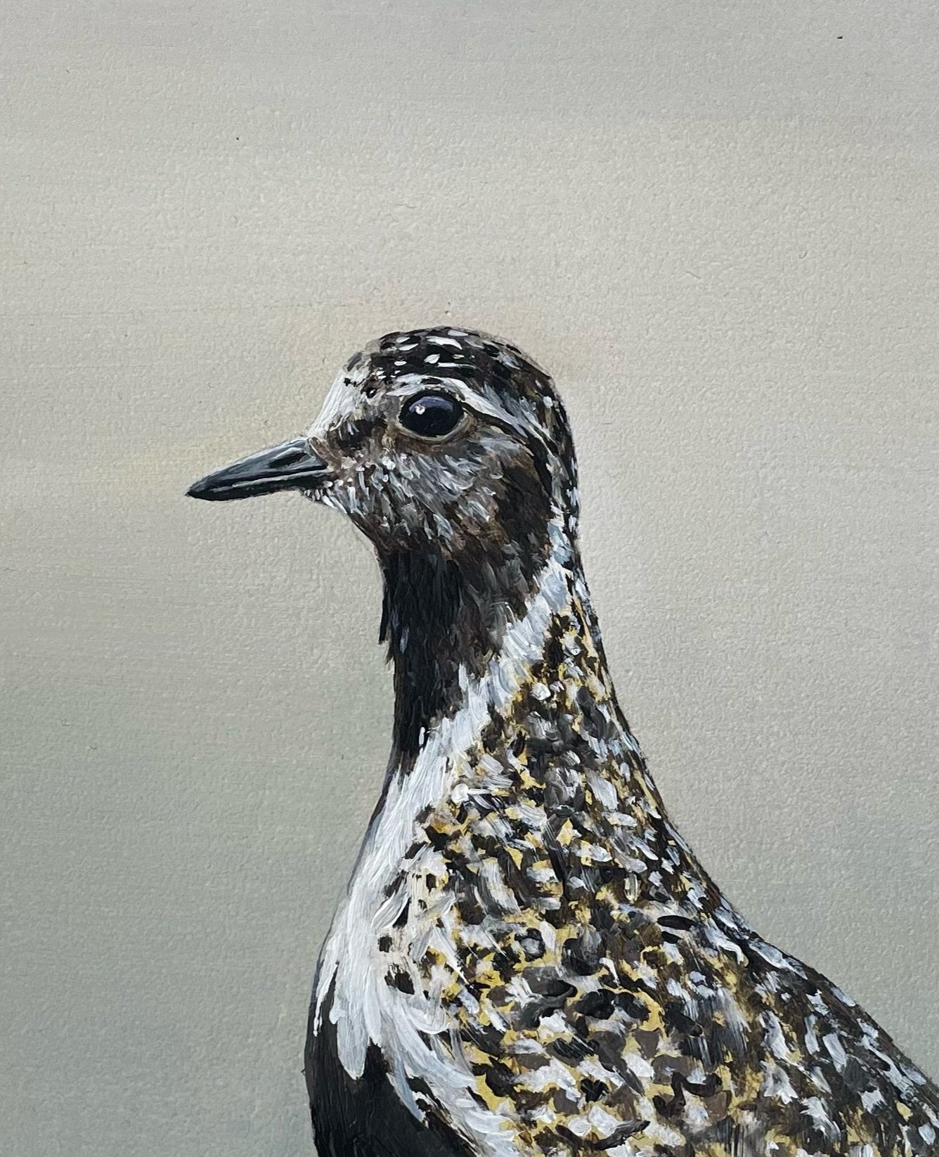 Schilderij Goudplevier