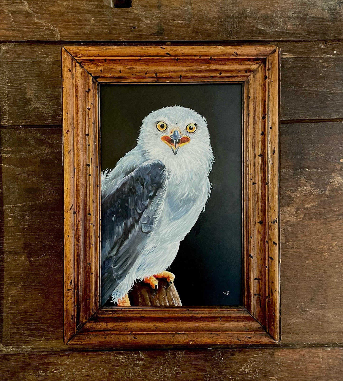 Schilderij Grijze wouw