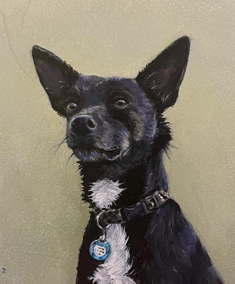 Schilderij Hond Kees