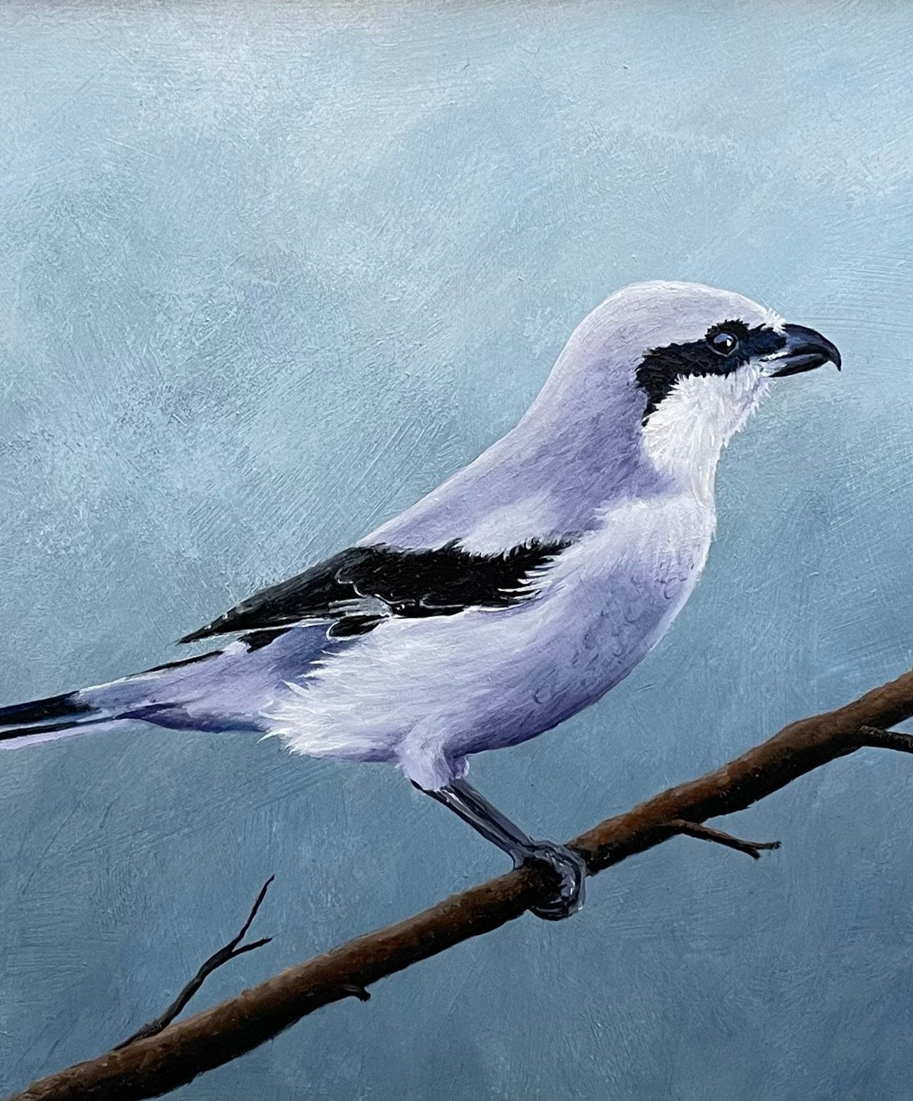 Schilderij Klapekster