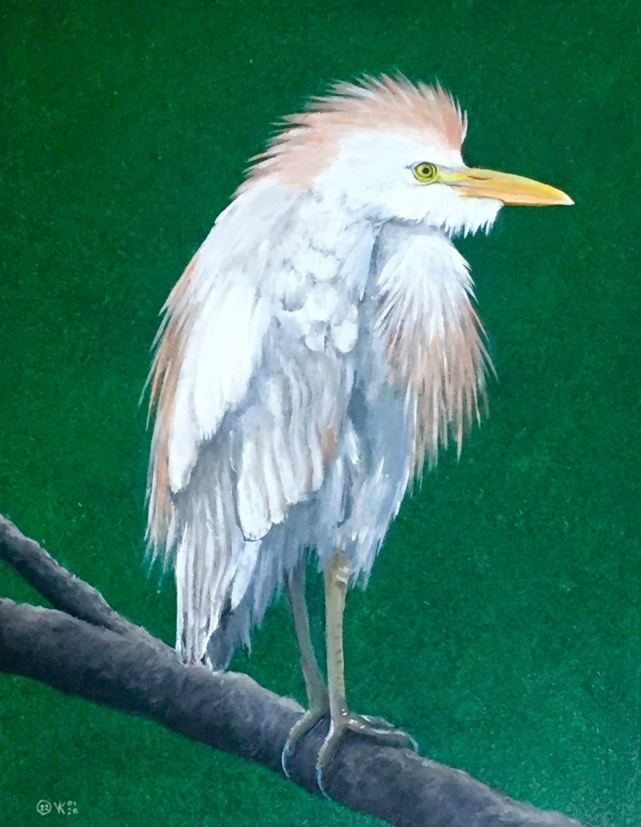 Schilderij Koereiger
