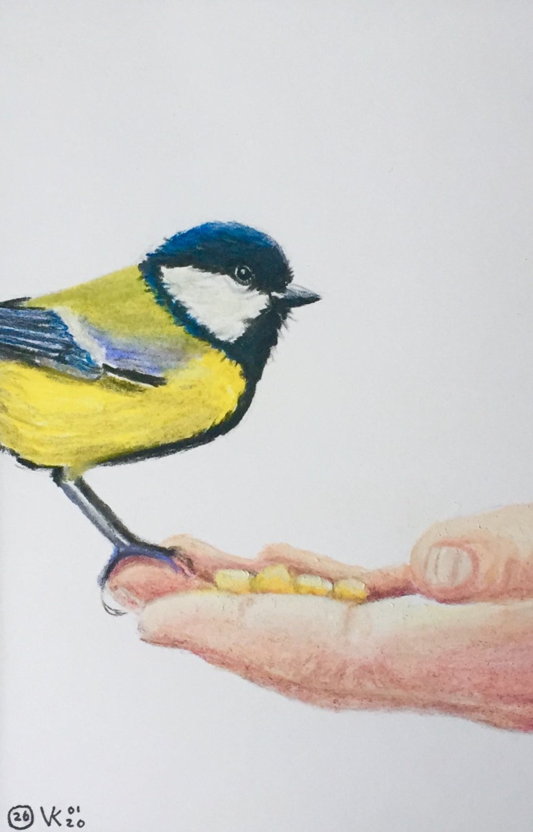 Tekening Koolmees