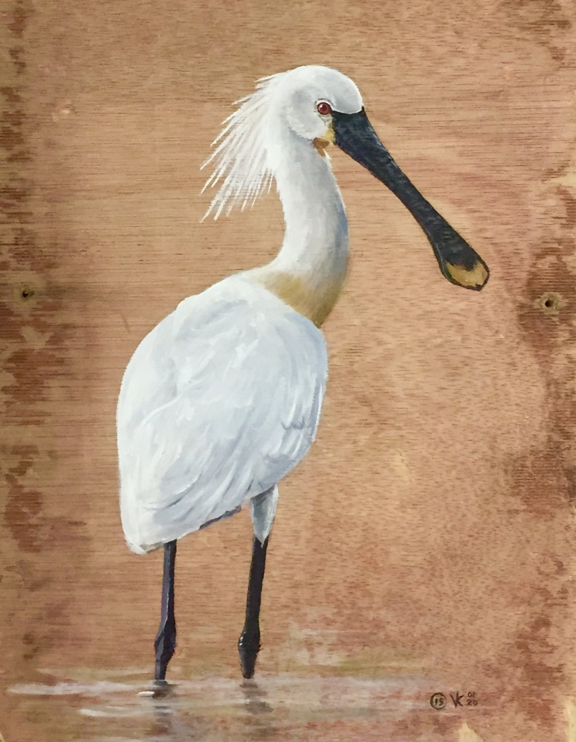 Schilderij Lepelaar
