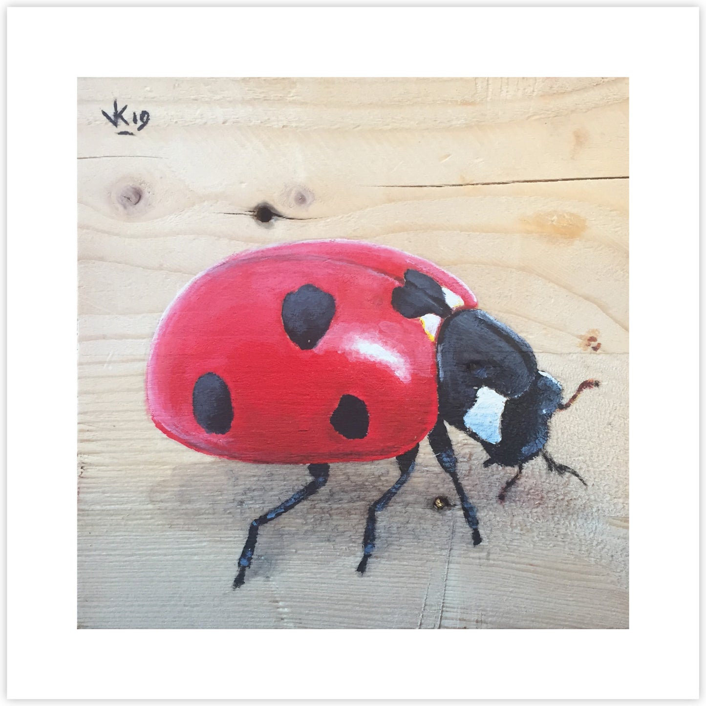 Artcard Lieveheersbeest