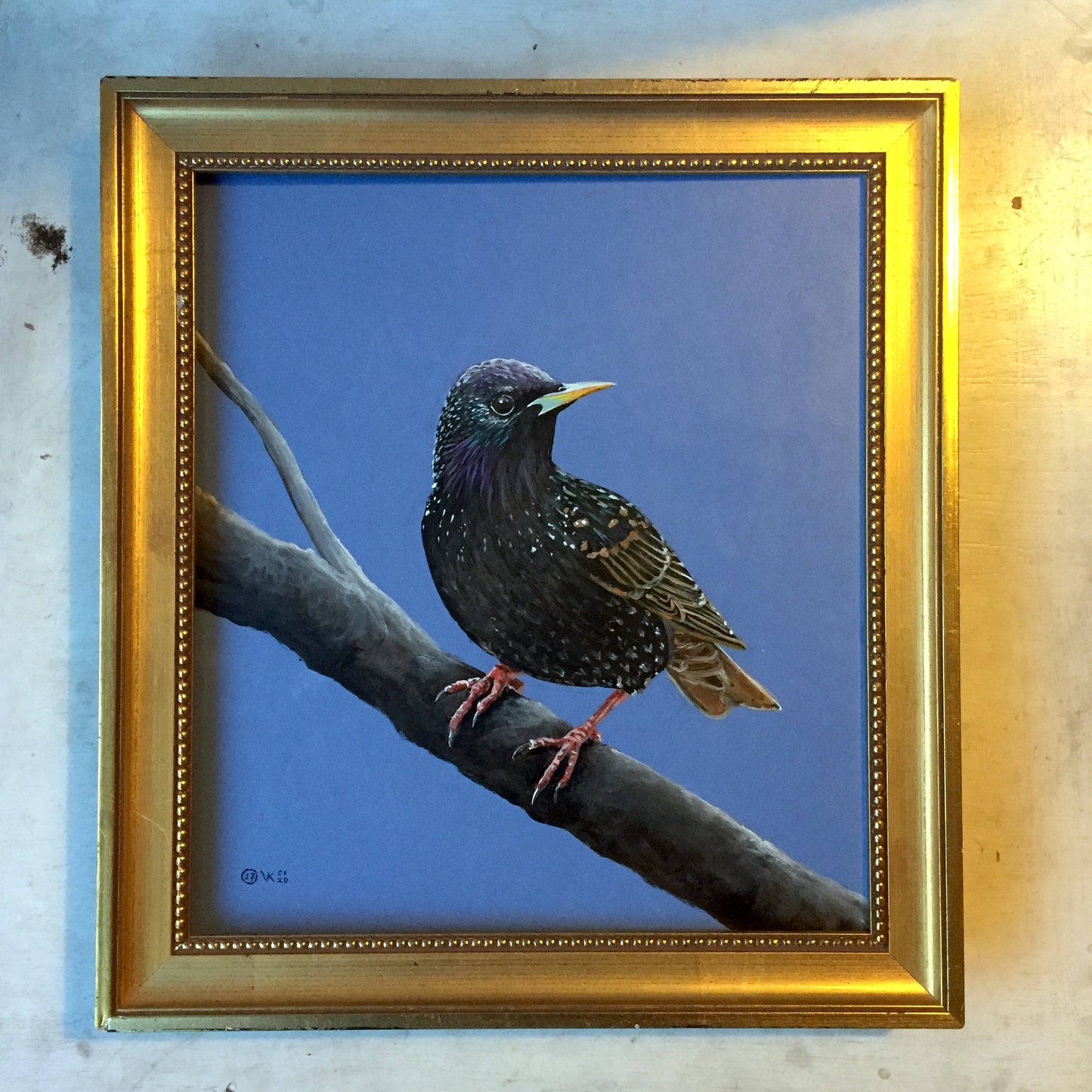 Schilderij Spreeuw