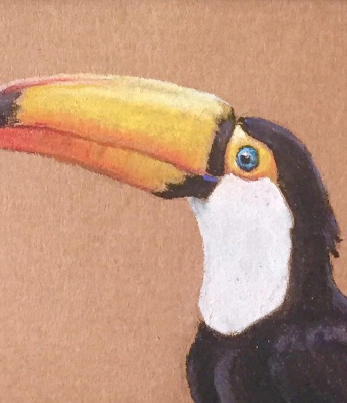 Tekening Toekan