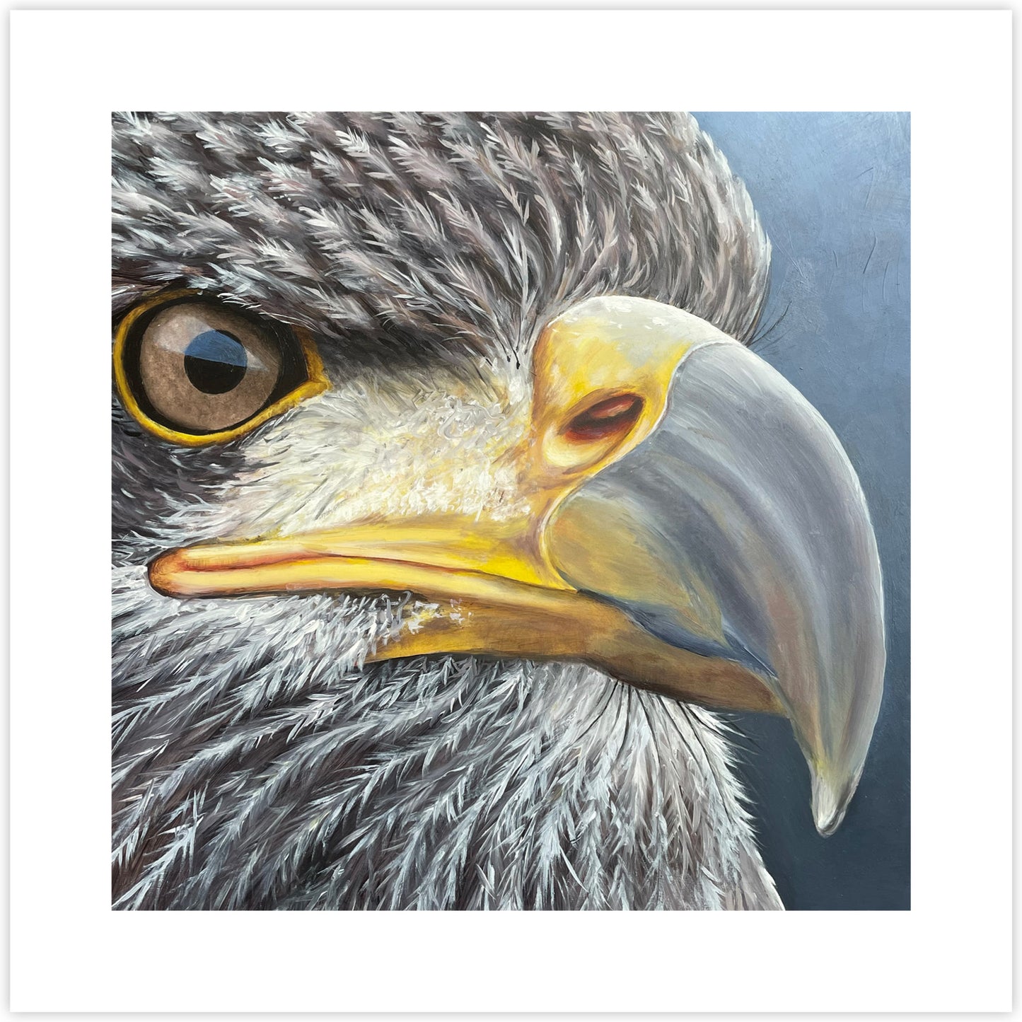 Artcard Zeearend