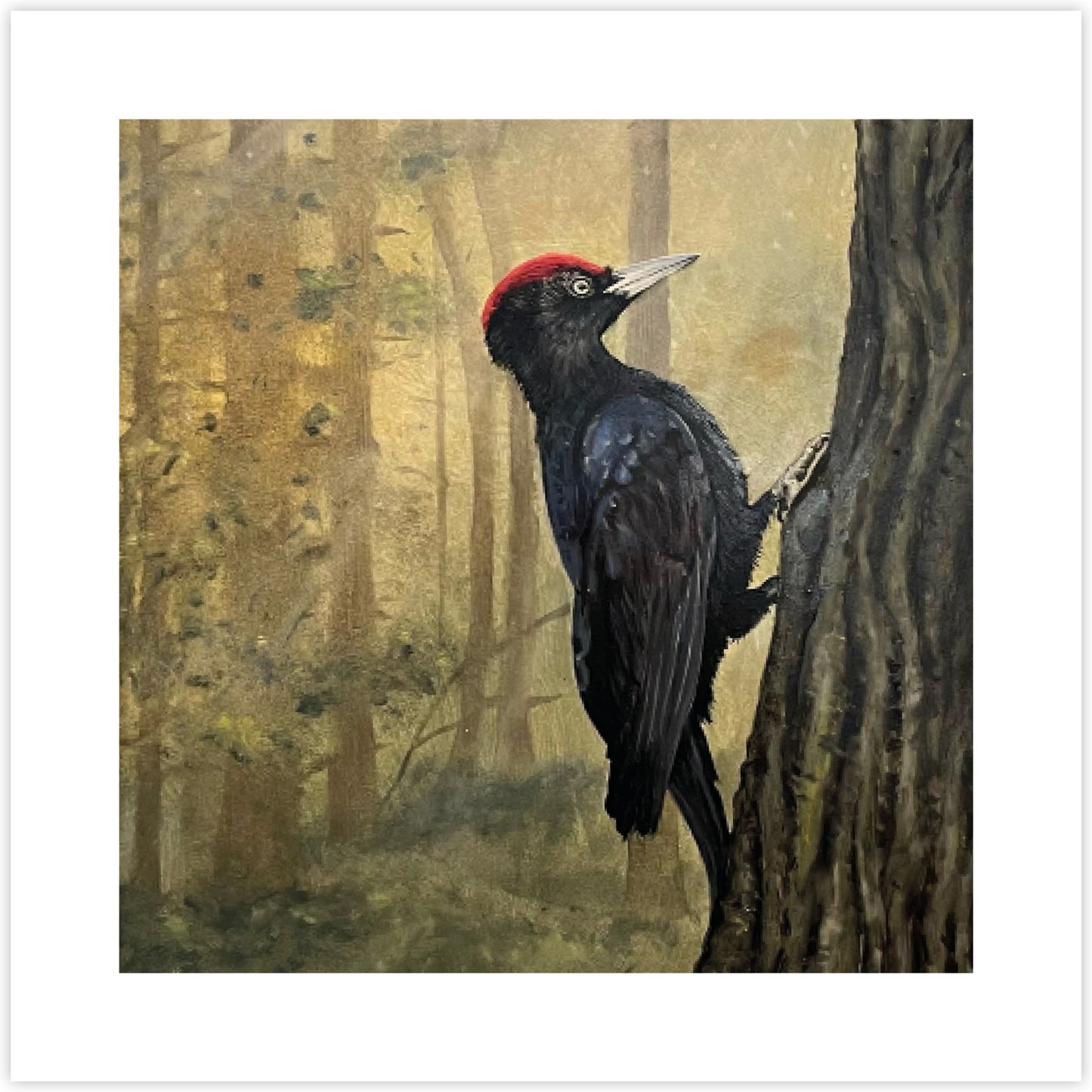 Artcard Zwarte specht