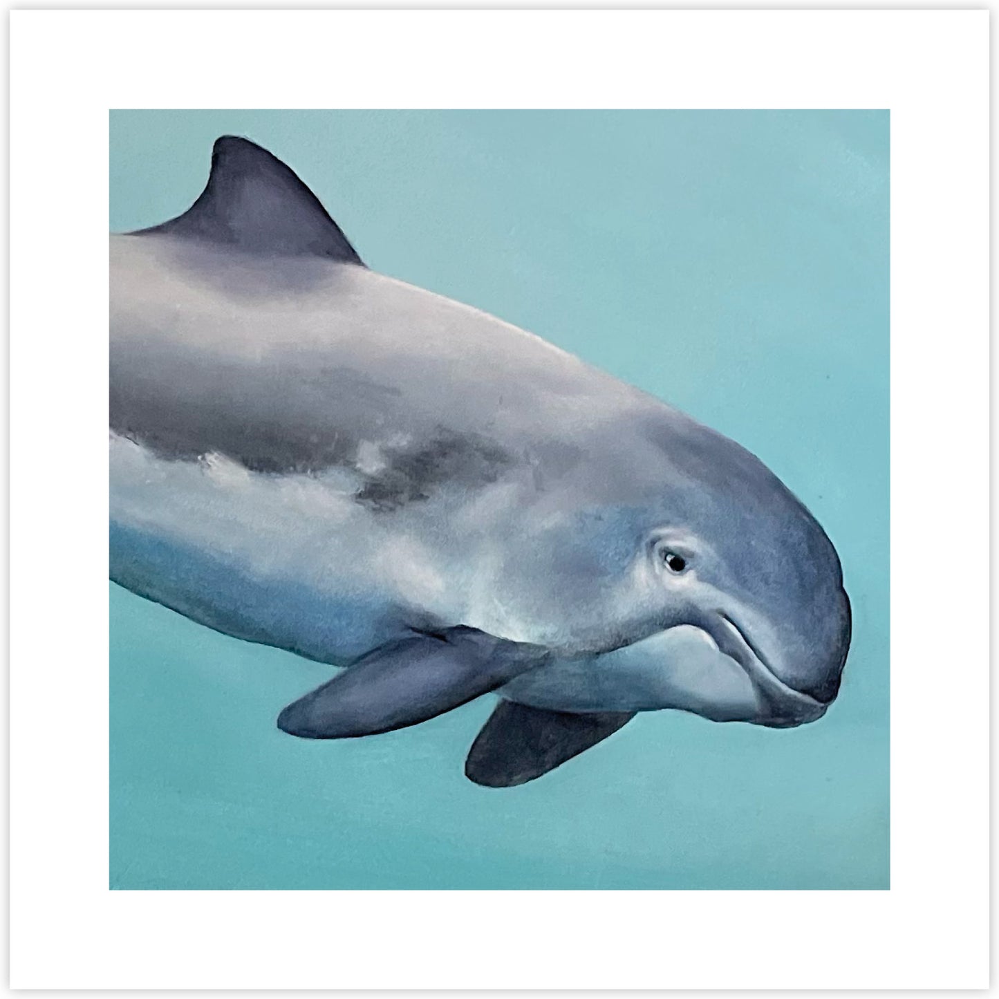 Artcard Bruinvis