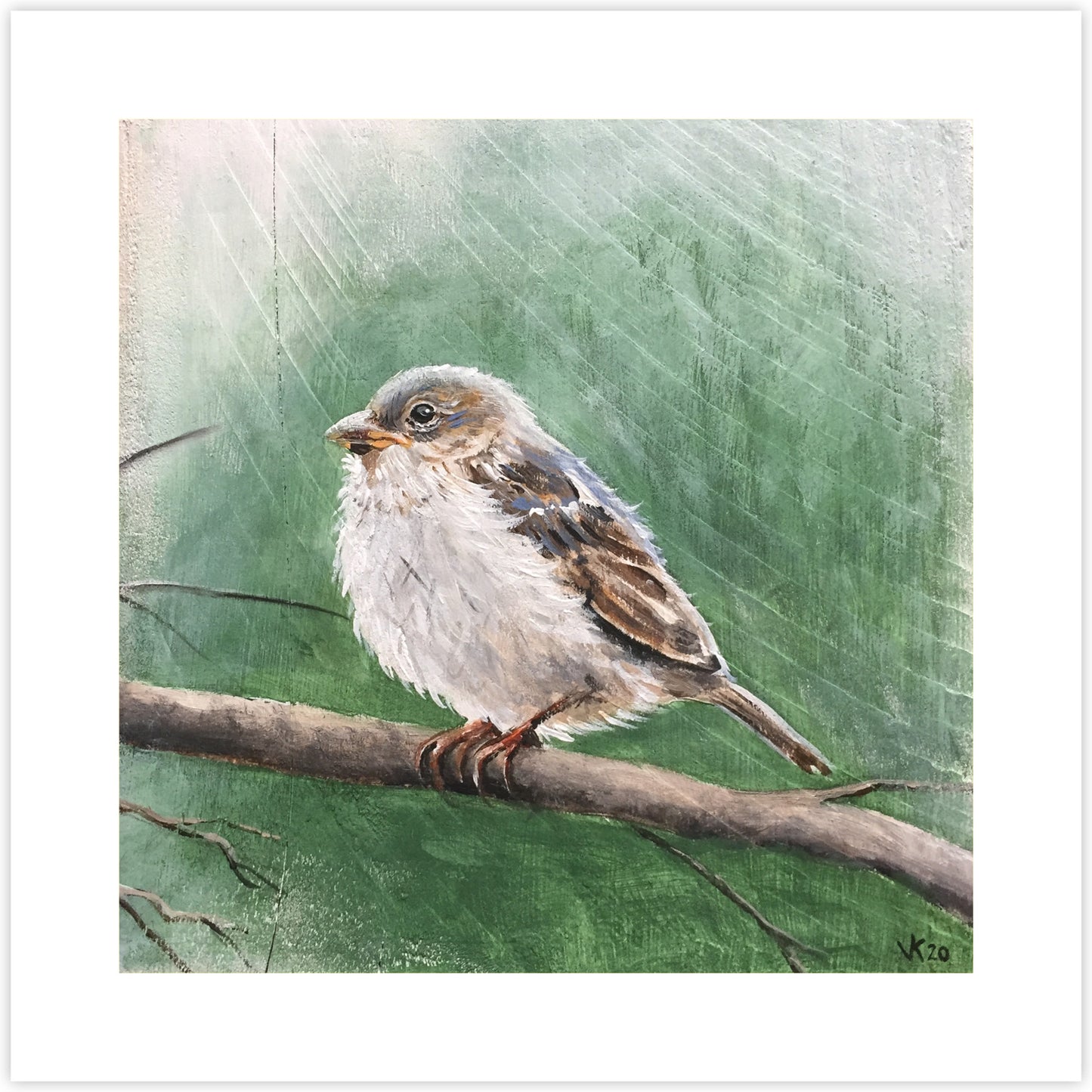 Artcard Jonge Huismus (B)