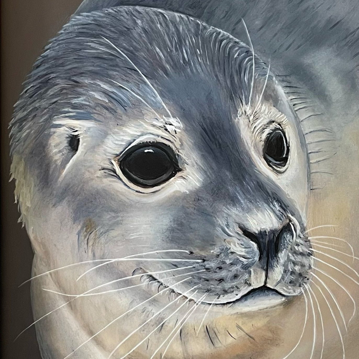 Artcard Zeehond