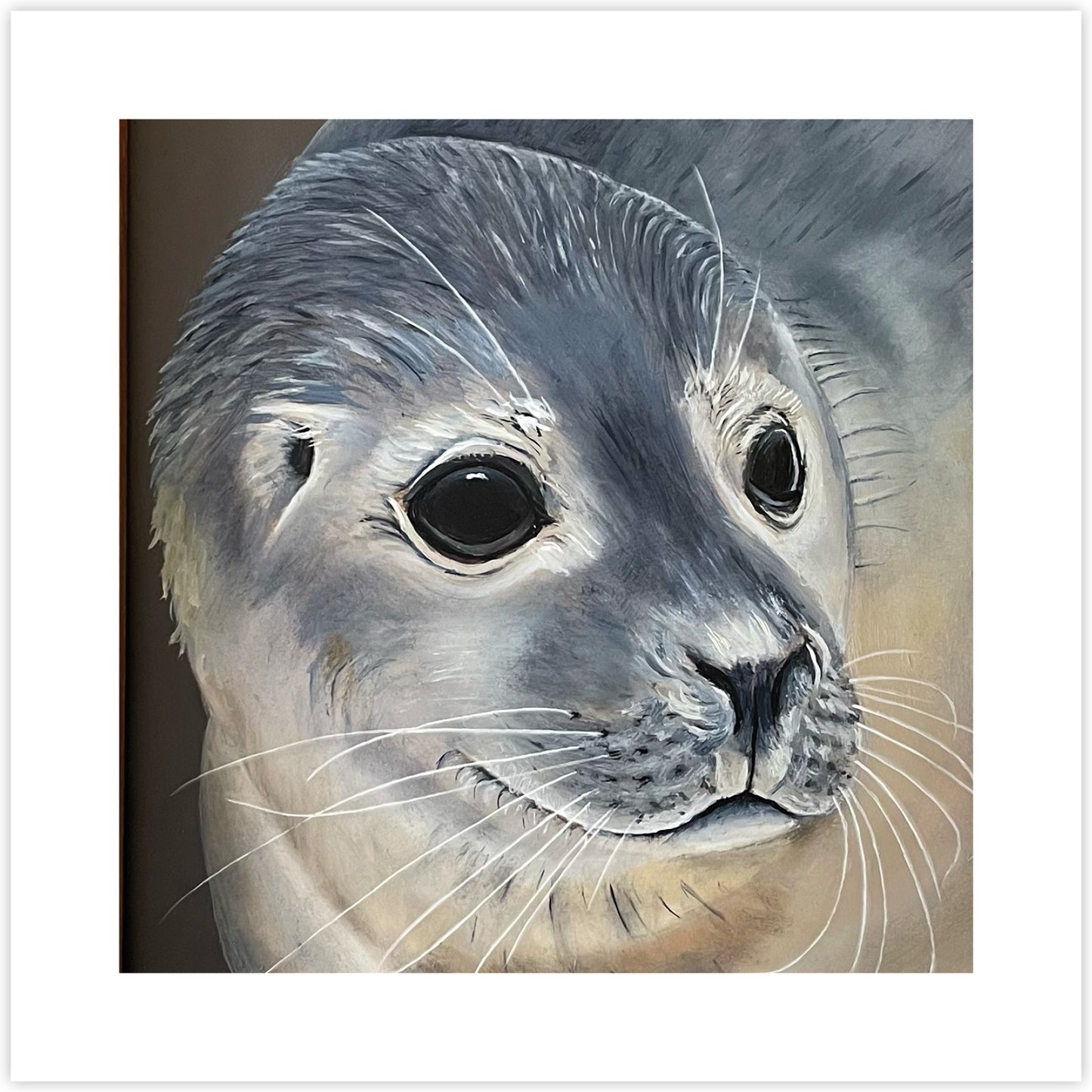 Artcard Zeehond