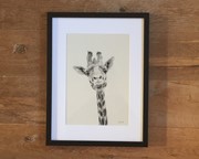 2 januari giraf