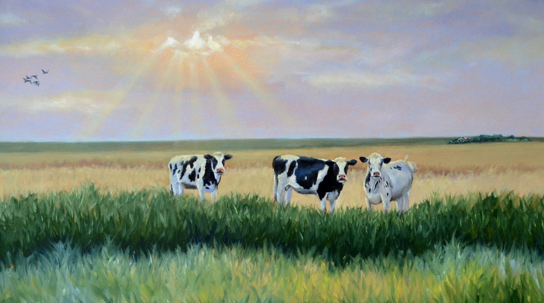 Collectie 'Langs Zeeuwse Paden' 2026