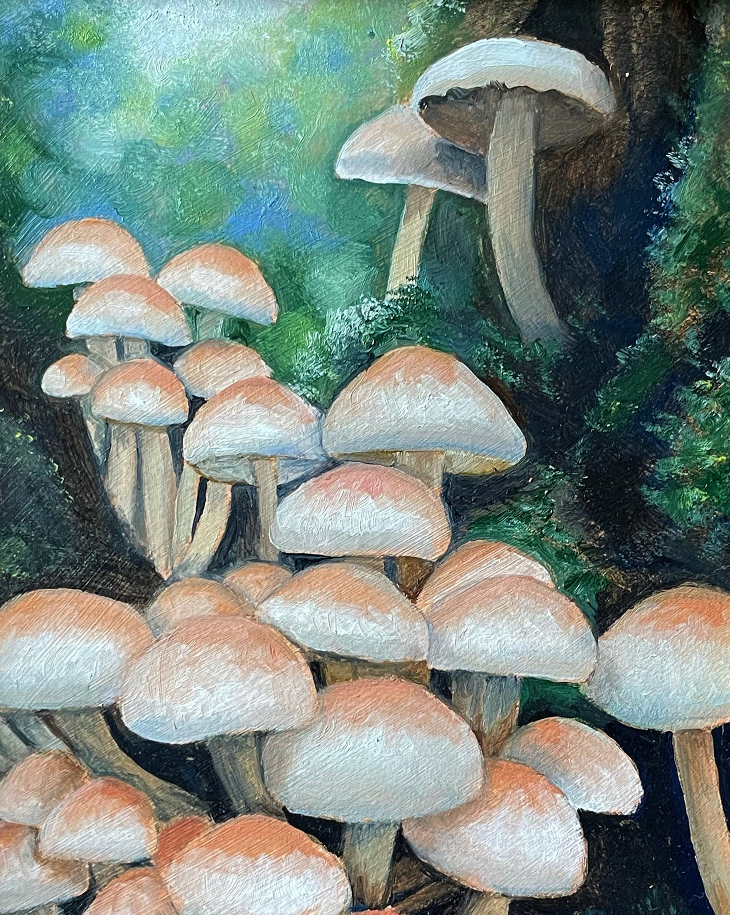 Schilderij Gewone zwavelkop - 12
