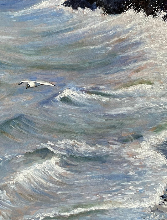 Schilderij Kokmeeuw - 13