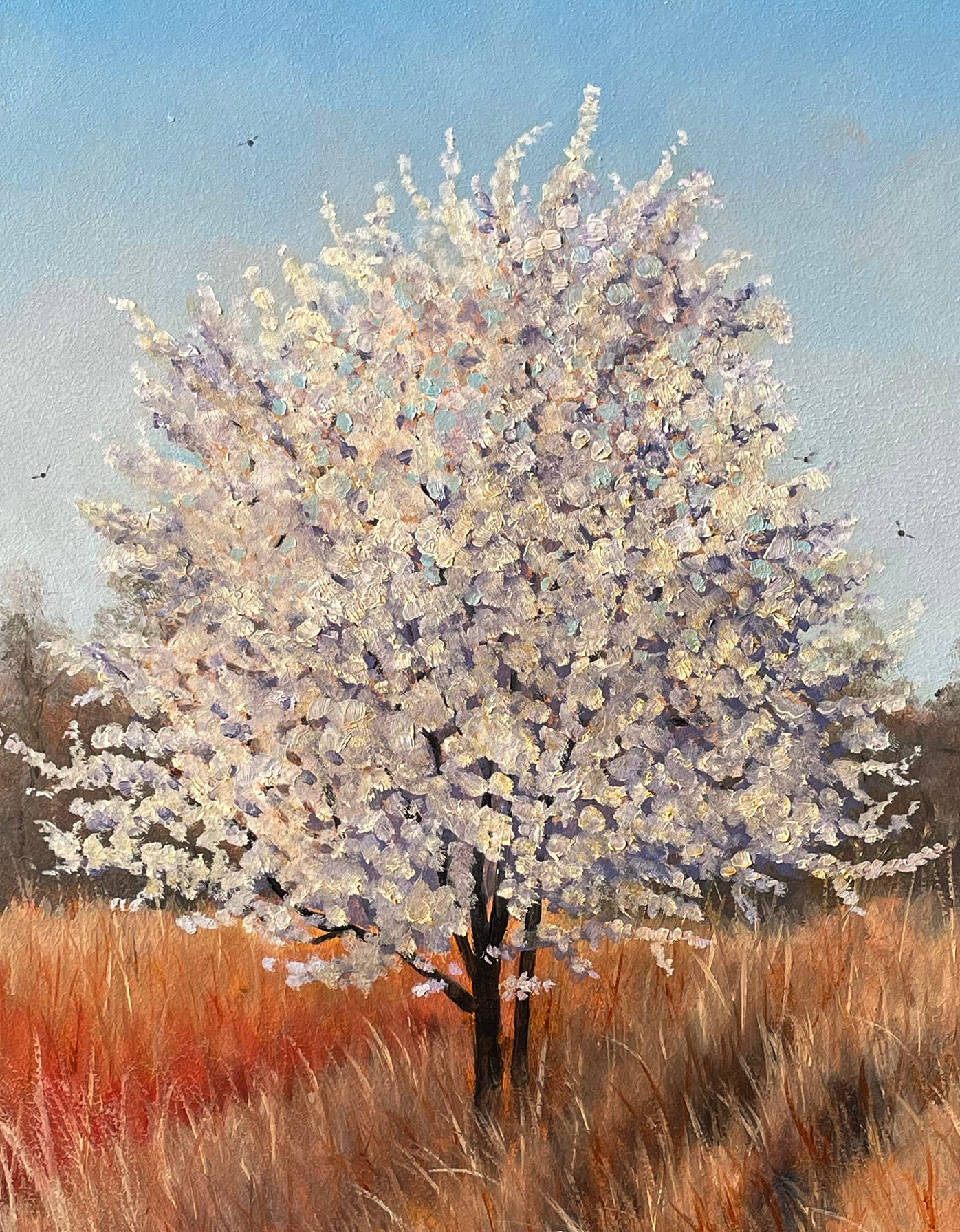 Schilderij Kersenboom - 14