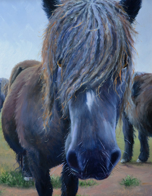 Schilderij Shetlandpaarden - 19