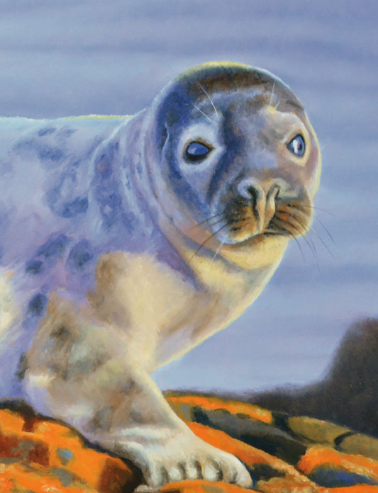 Schilderij Zeehond - 20