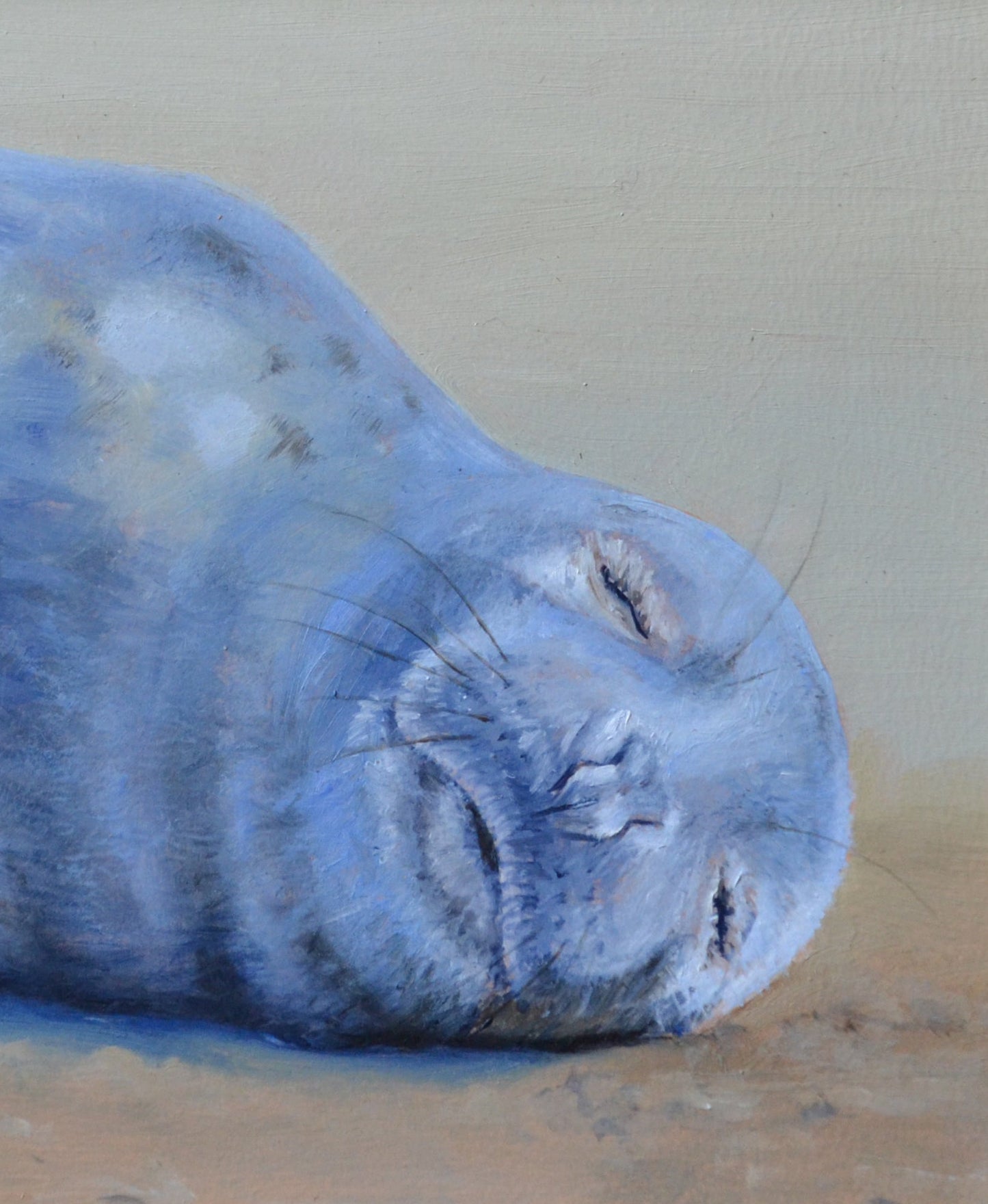 Schilderij Zeehond - 04