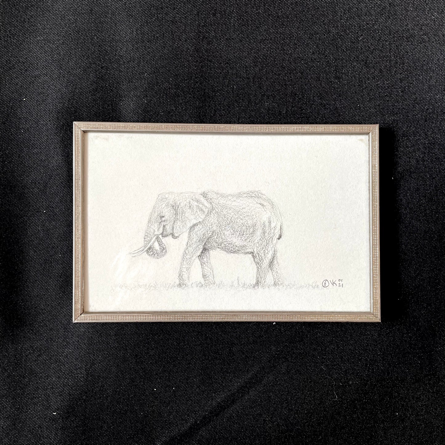 Tekening Olifant