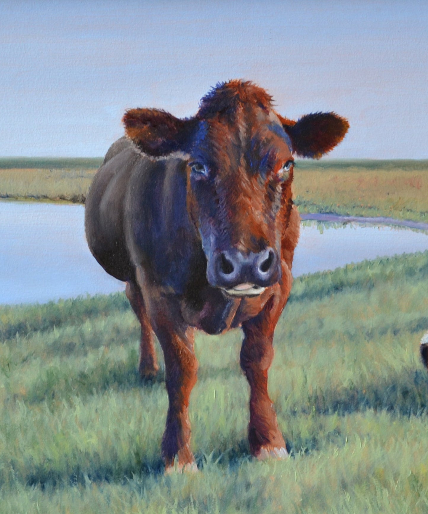 Schilderij Roodbonte koe - 08