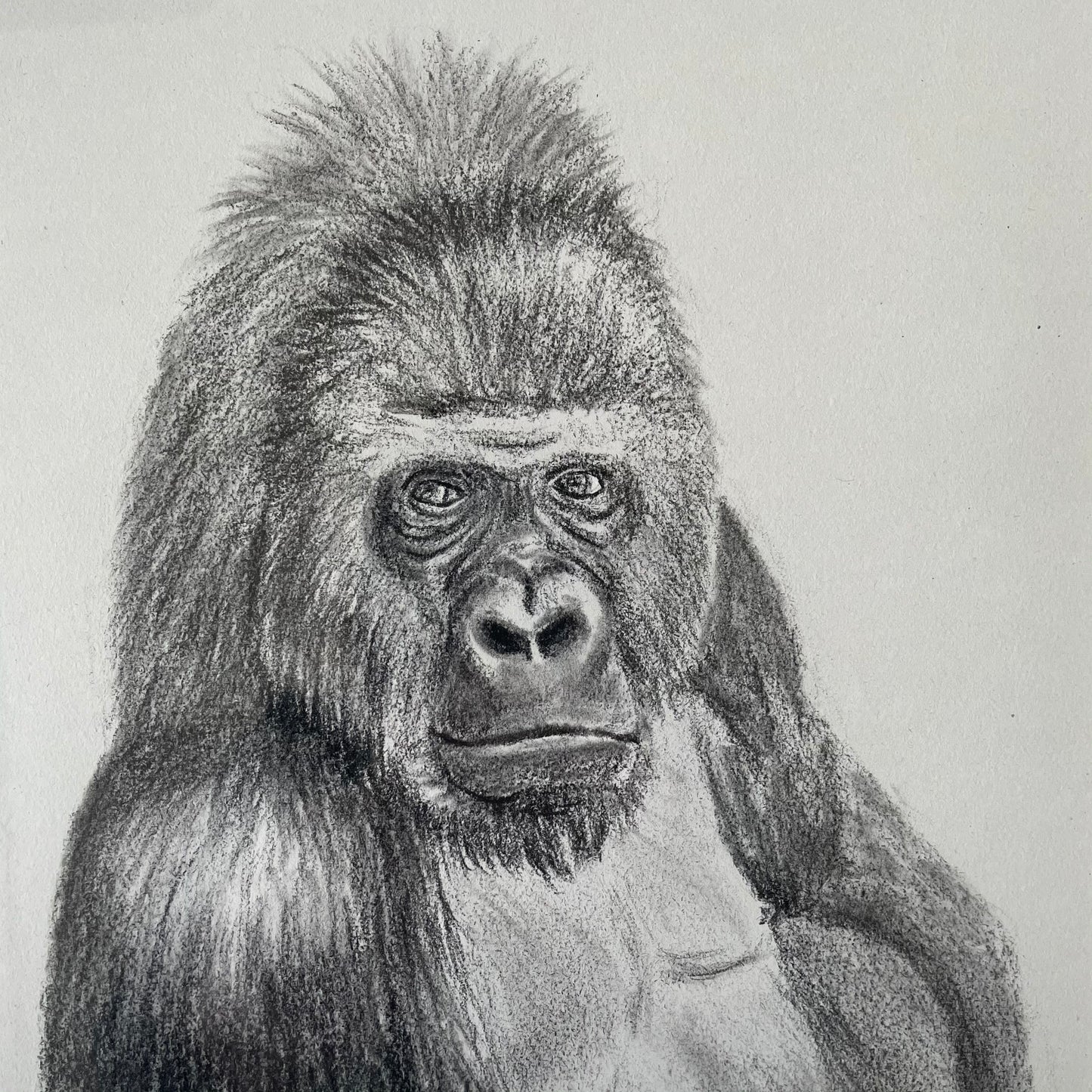 Tekening Gorilla