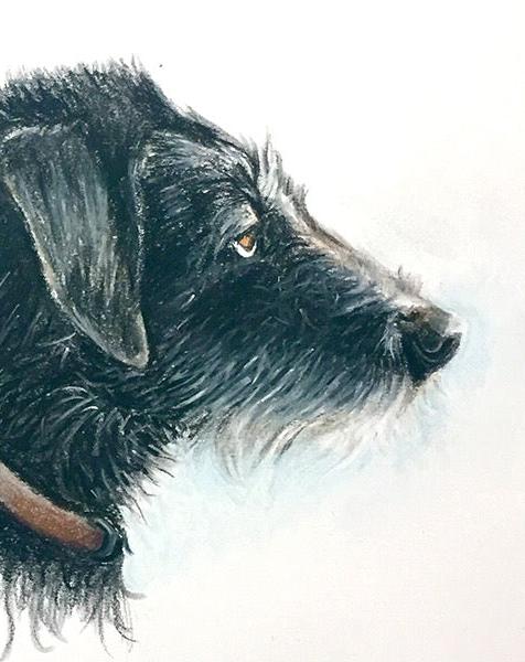 Tekening Honden duo