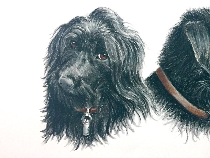 Tekening Honden duo