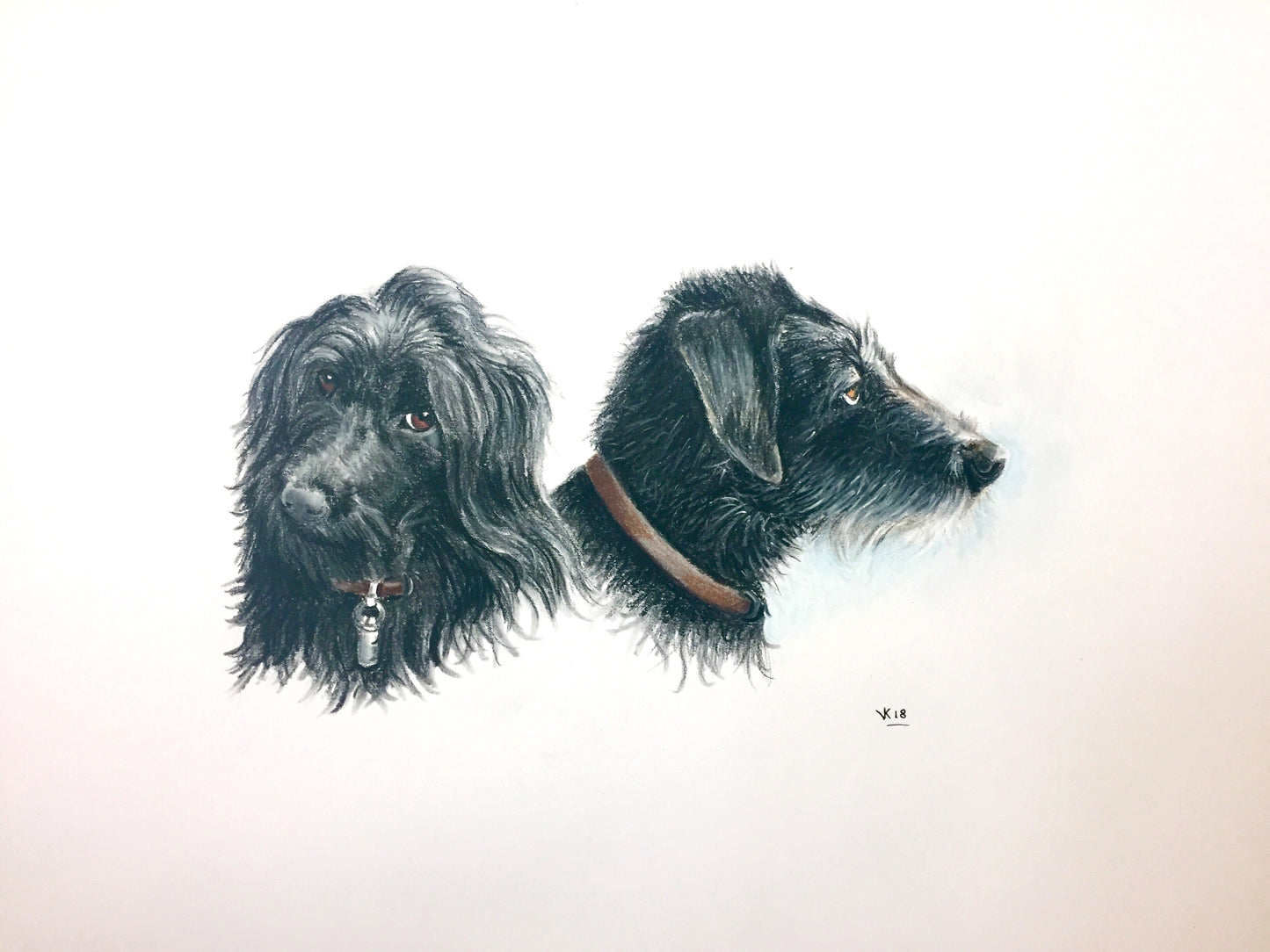 Tekening Honden duo