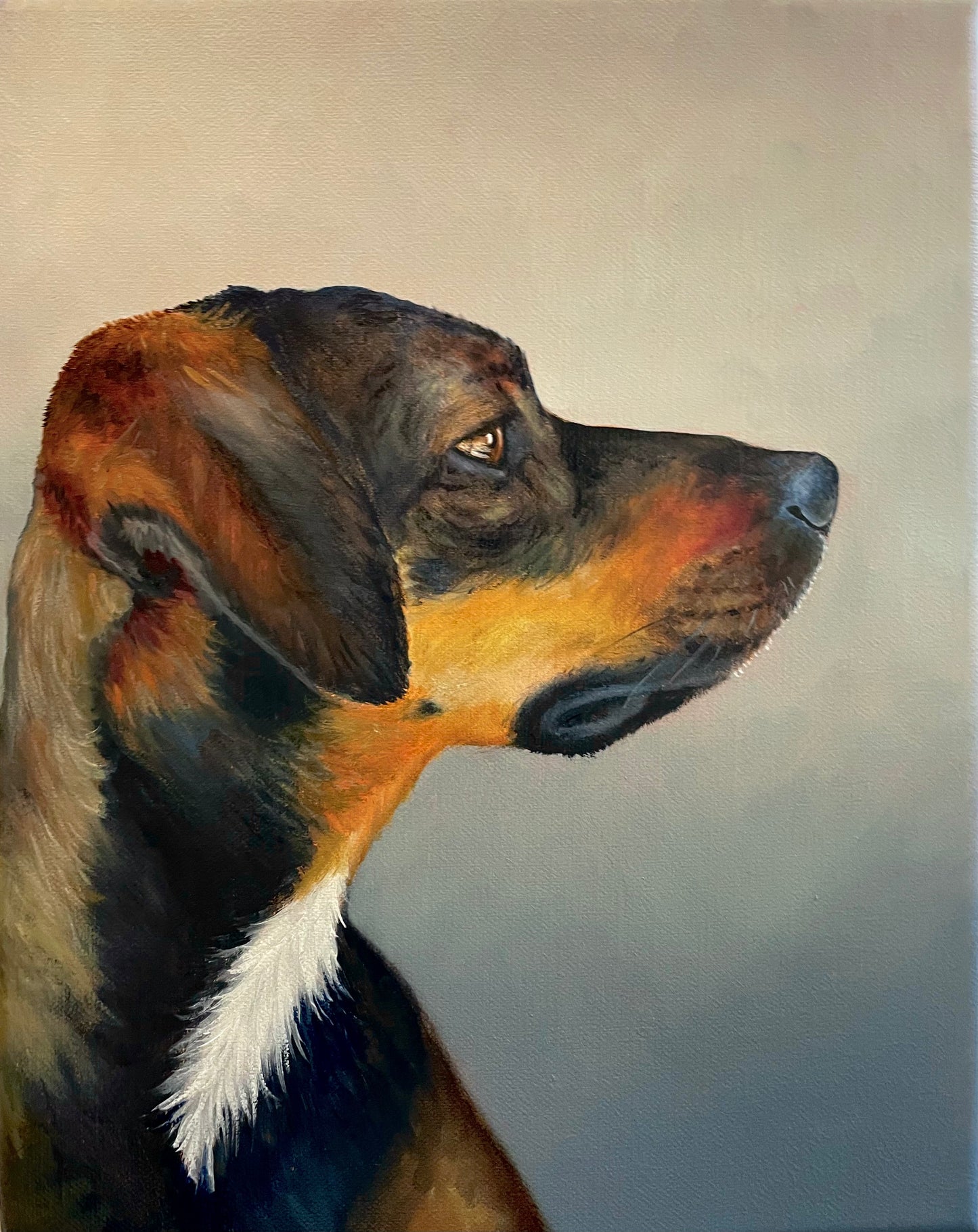 Schilderij Hond Lobito