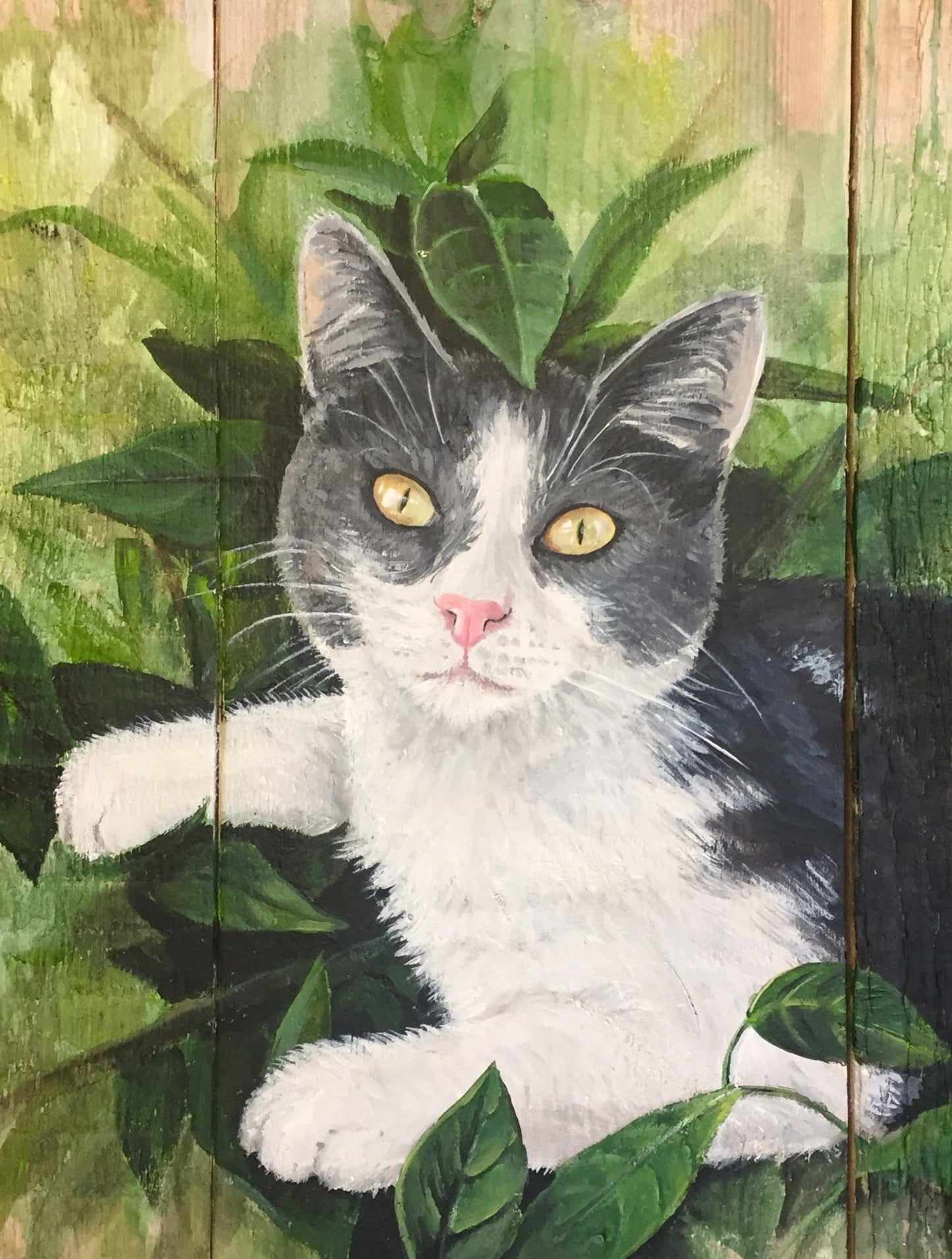 Schilderij Kat op houten paneel