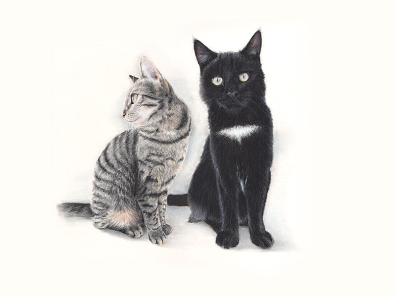 Tekening Katten duo