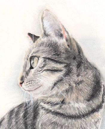 Tekening Katten duo