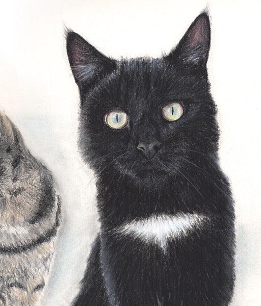 Tekening Katten duo