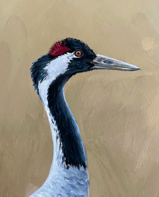 Schilderij Kraanvogel