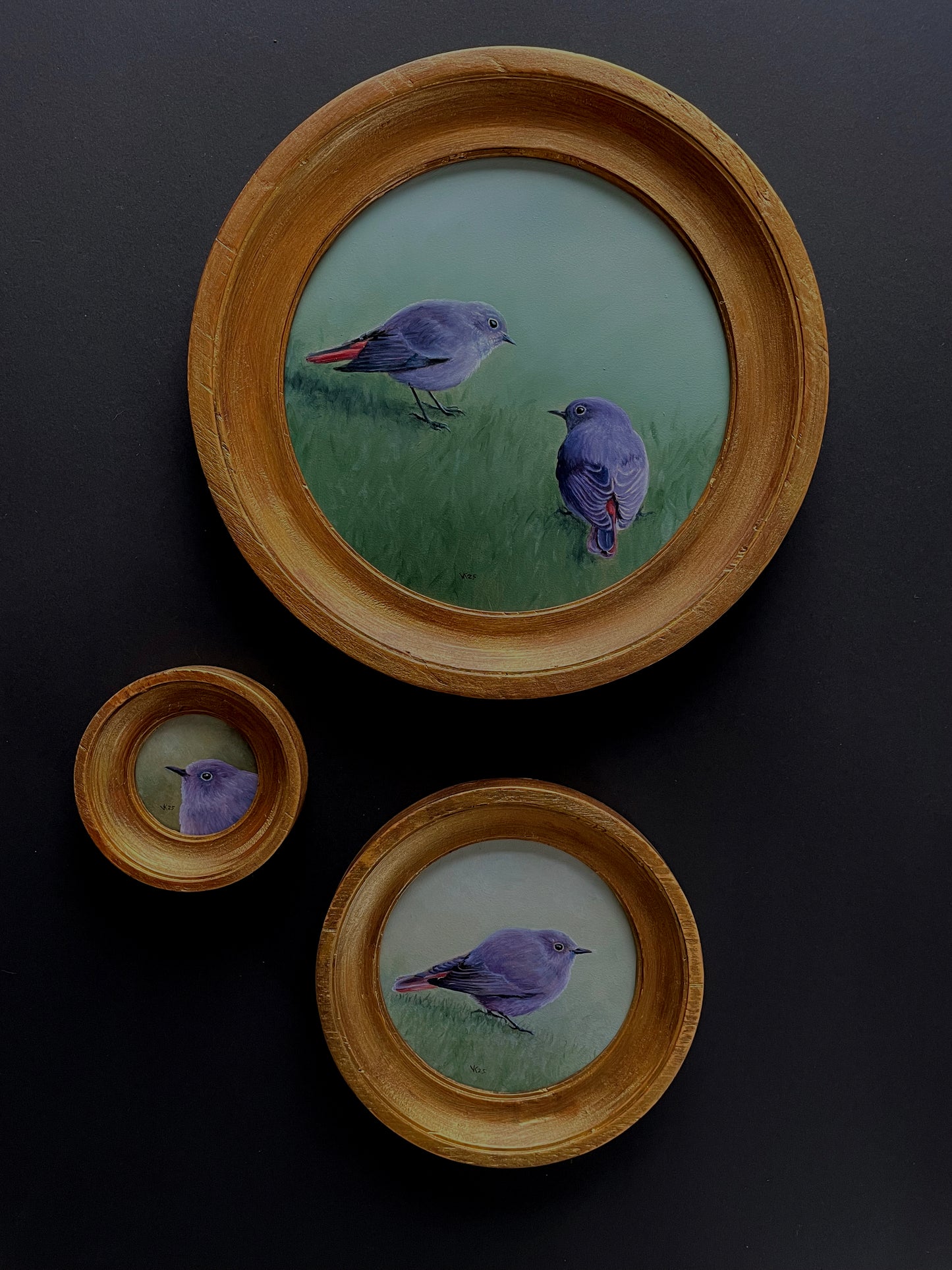 Schilderij Zwarte roodstaart M