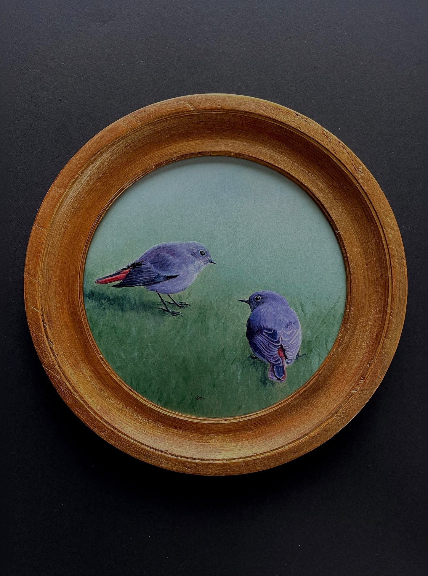 Schilderij Zwarte roodstaart L