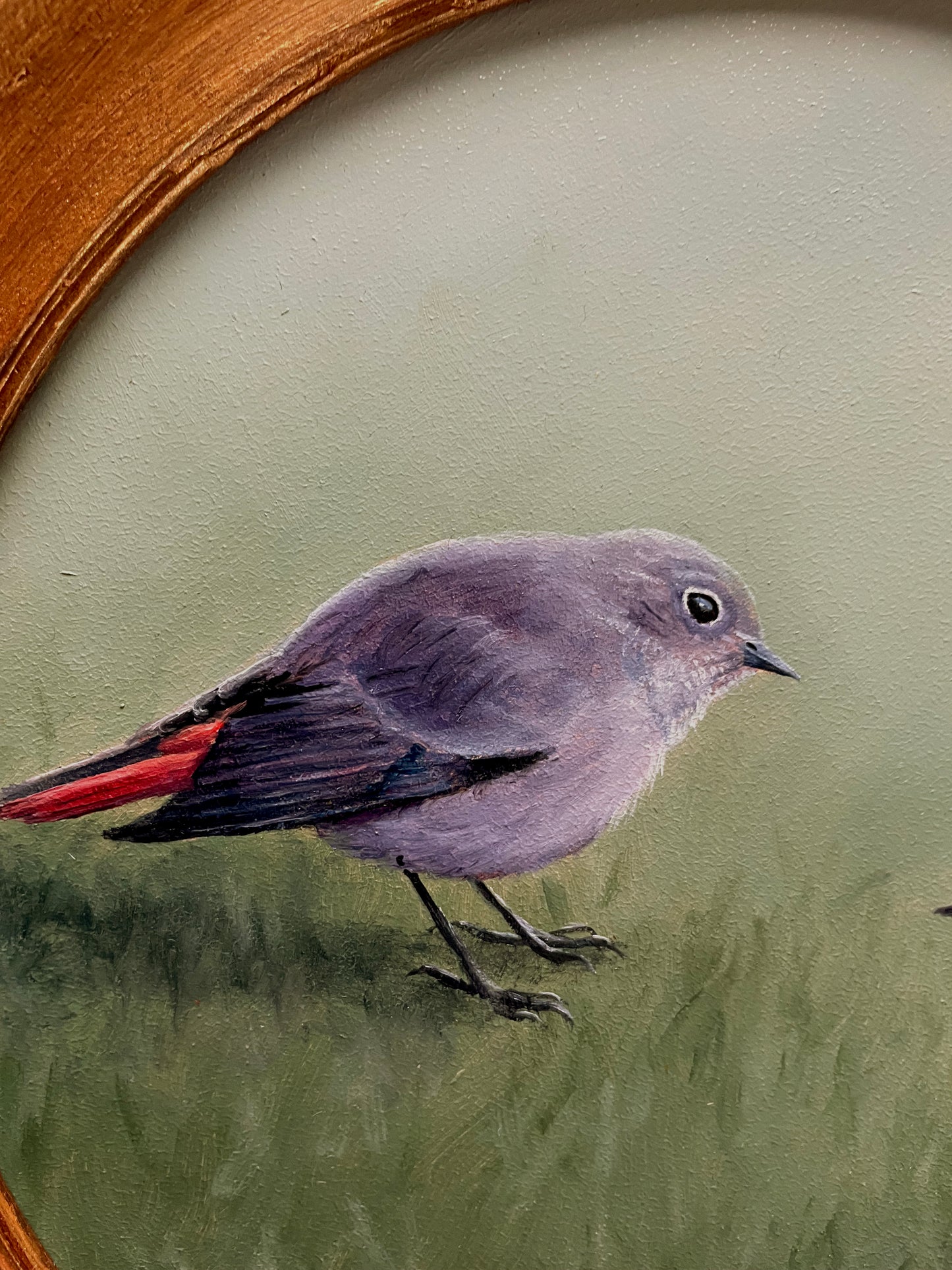 Schilderij Zwarte roodstaart L