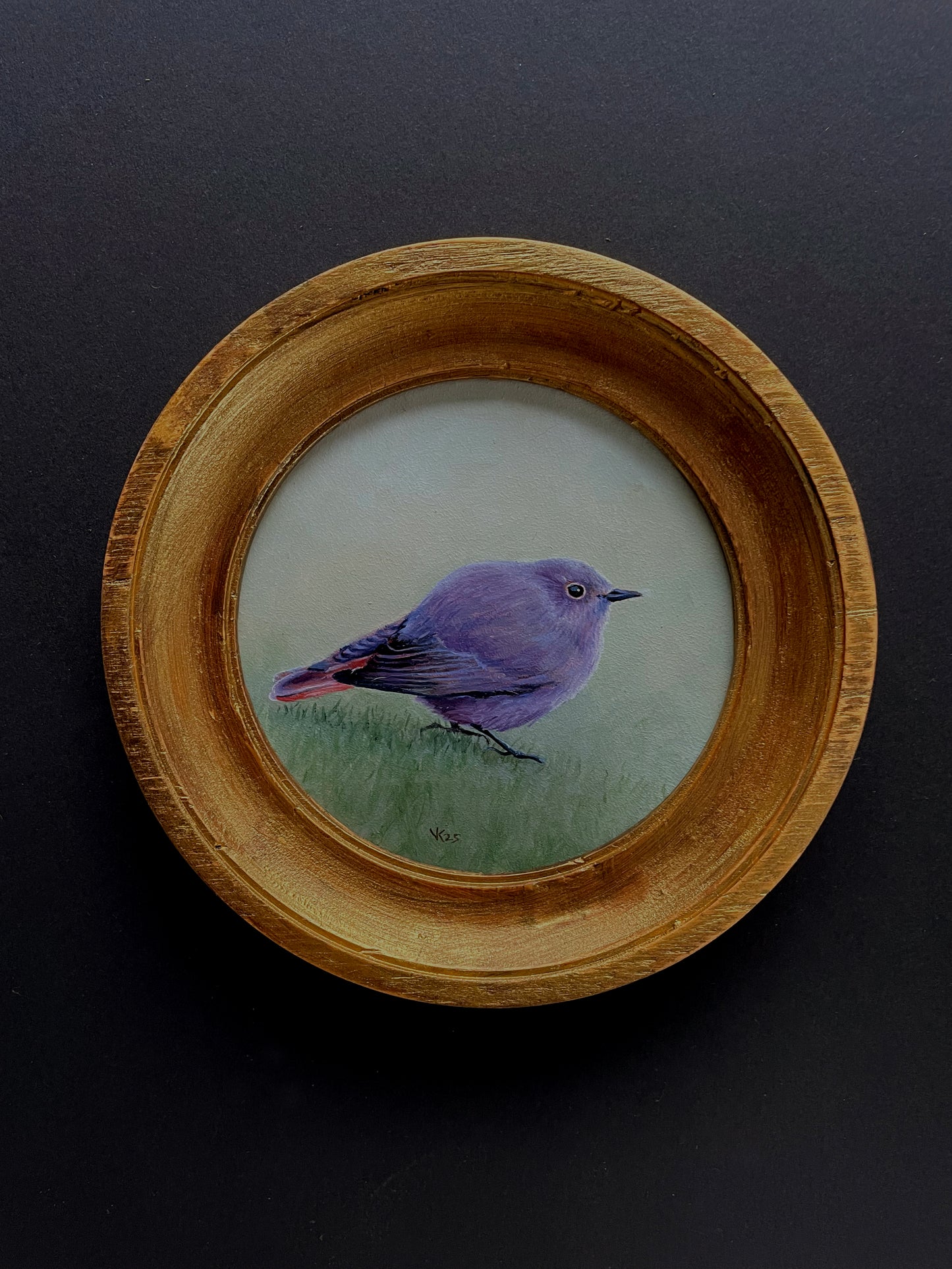 Schilderij Zwarte roodstaart M