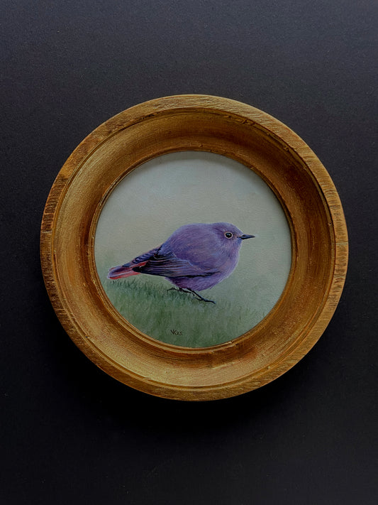 Schilderij Zwarte roodstaart M