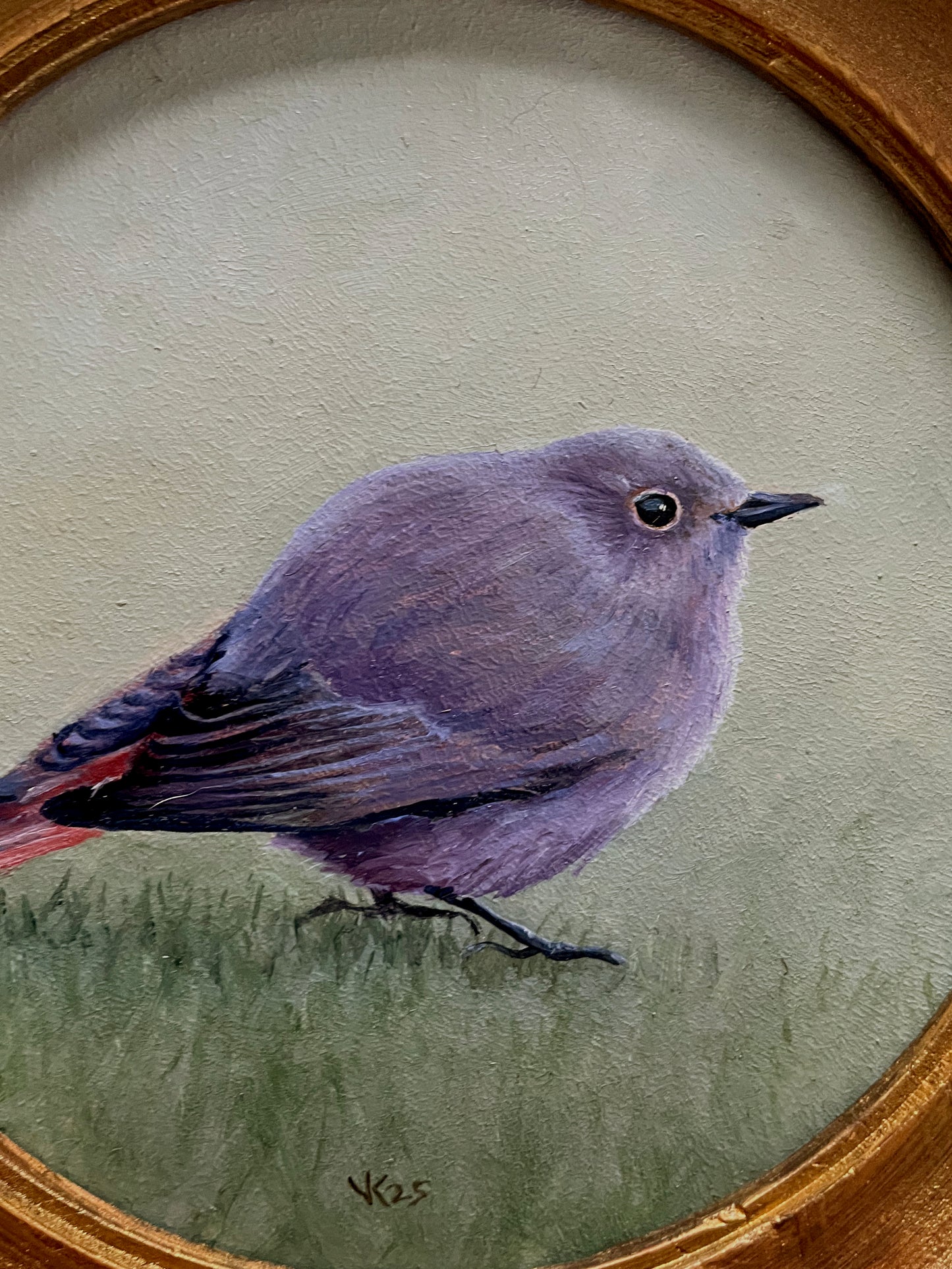 Schilderij Zwarte roodstaart M