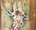 giraf1.jpg